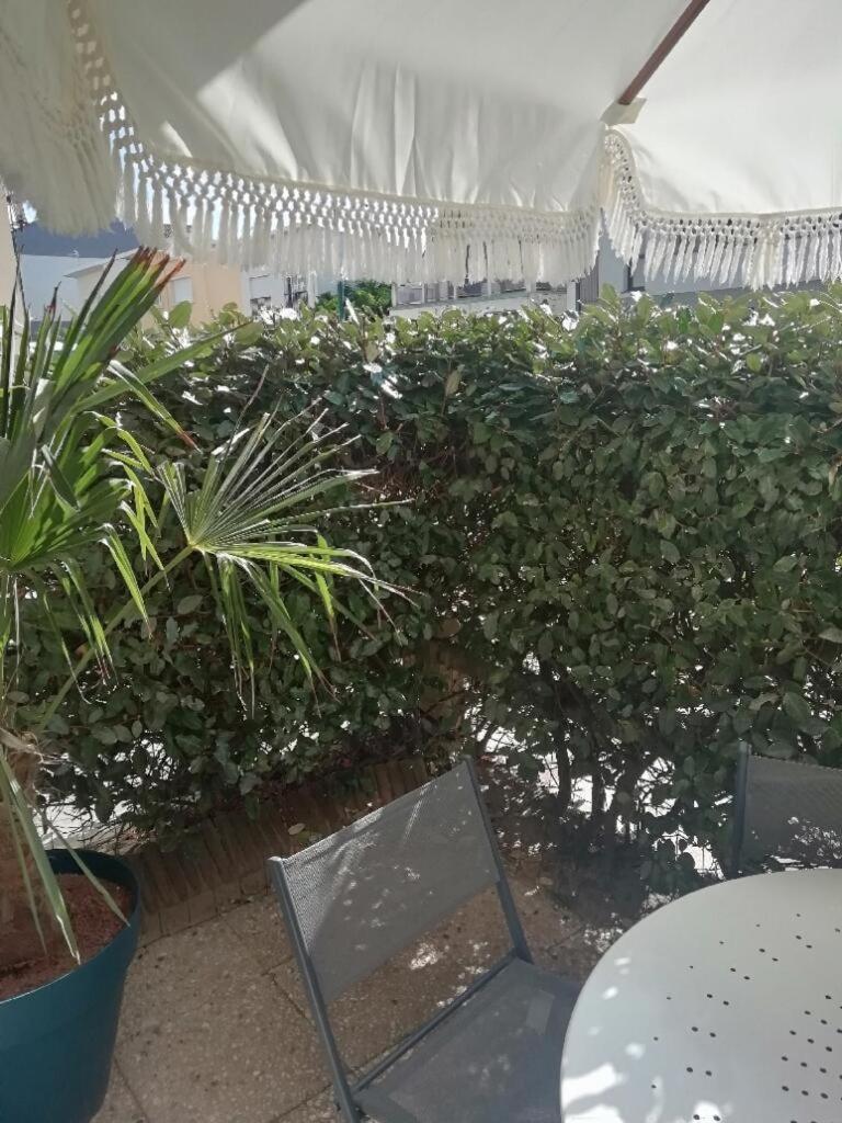 T3 Rez-De-Chaussee Lumineux Avec Terrasse Proche Plage Cucq Luaran gambar