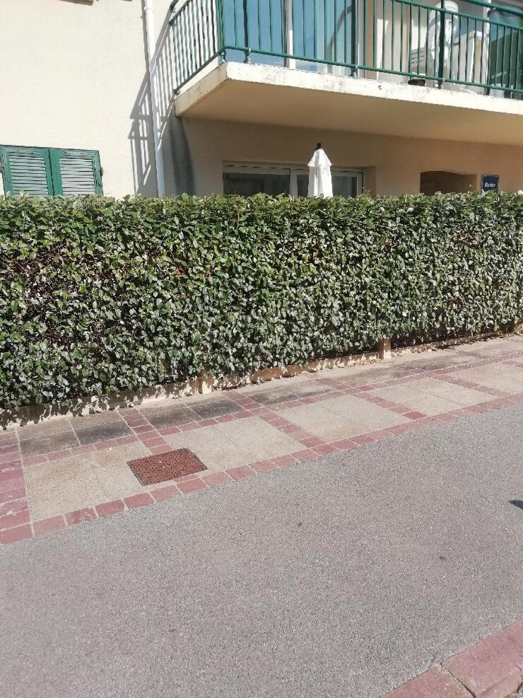 T3 Rez-De-Chaussee Lumineux Avec Terrasse Proche Plage Cucq Luaran gambar